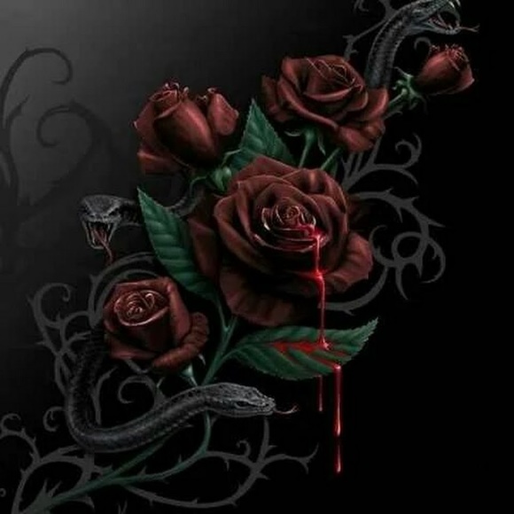 Meet your Posher, Stephanie - Picture 1 of 1